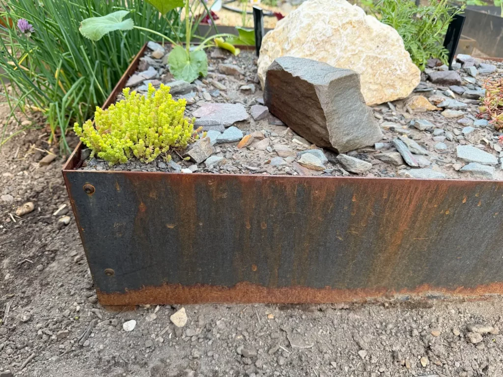 Cortenstahl-Beeteinfassung mit erster Rostpatina nach vier Wochen im naturnahen Schrebergarten