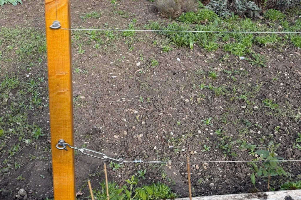 Leicht gespanntes Drahtseil zwischen zwei Holzpfosten einer Rankhilfe