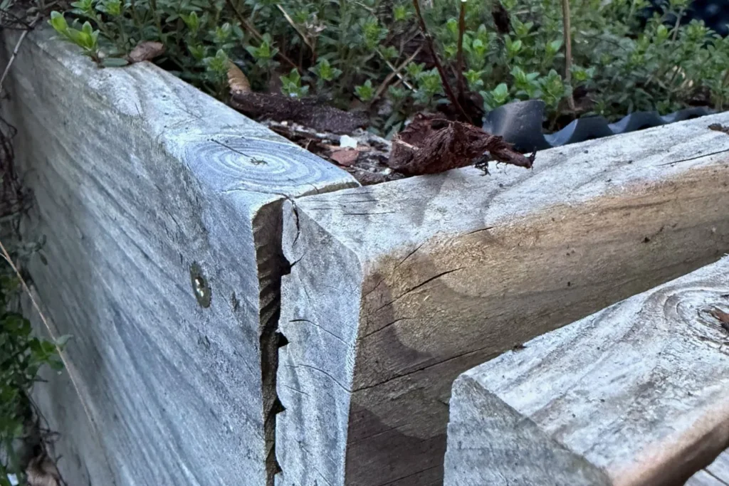 Altes Holzhochbeet mit verzogenem und rissigem Brett an der Ecke