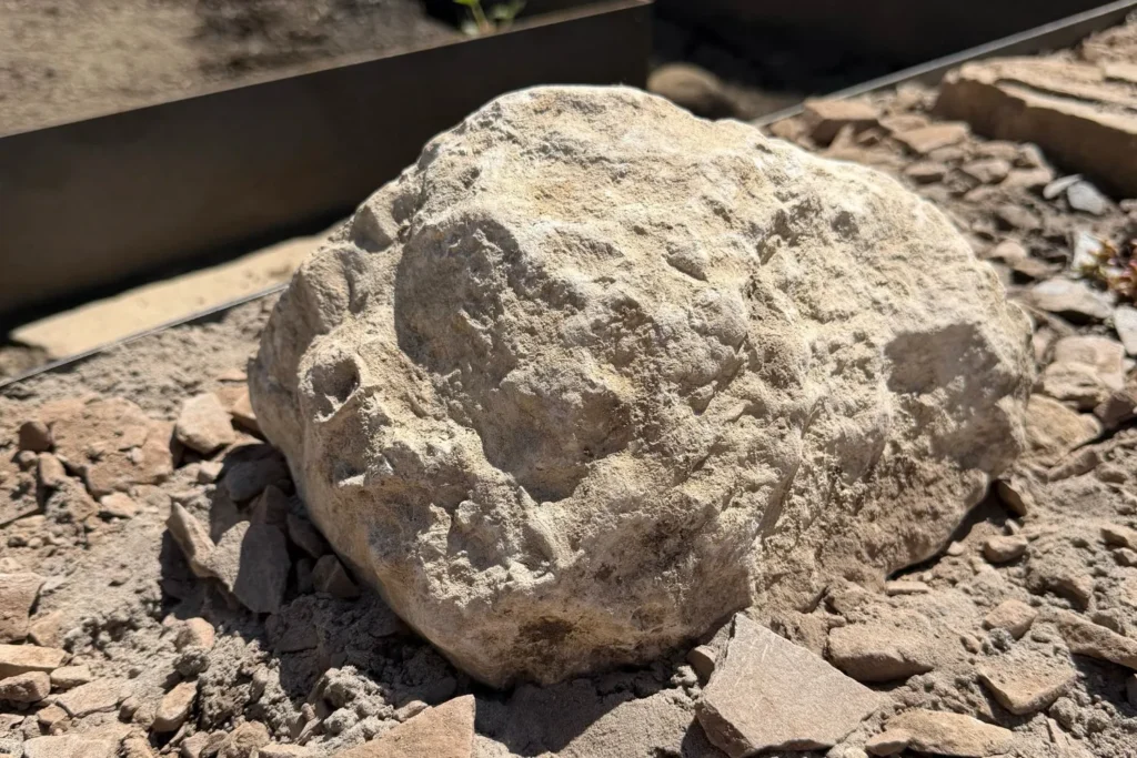 Heller Kalkstein als Naturstein-Element im neu angelegten Magerbeet mit Cortenstahlkante