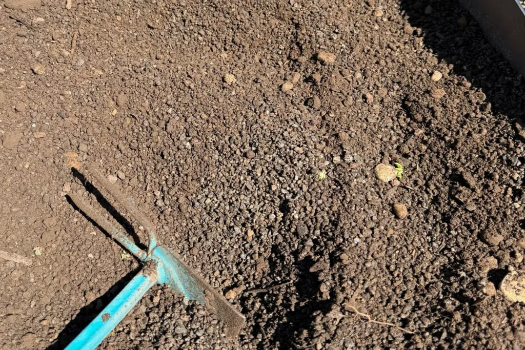 Splitt und Erde werden für ein durchlässiges Magerbeet-Substrat miteinander vermischt