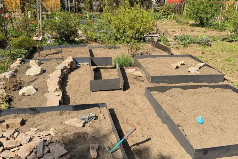 Schrebergarten naturnah gestalten – so planen wir Gemüse, Obst & Biodiversität Neu strukturierter Schrebergarten mit mehreren Beeten aus Cortenstahl, Natursteinmauer und vorbereiteten Pflanzflächen
