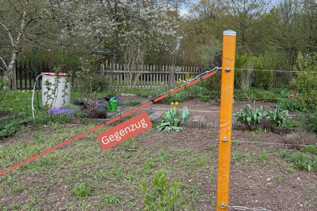 Schräg gespanntes Zugseil zur Stabilisierung einer Rankhilfe