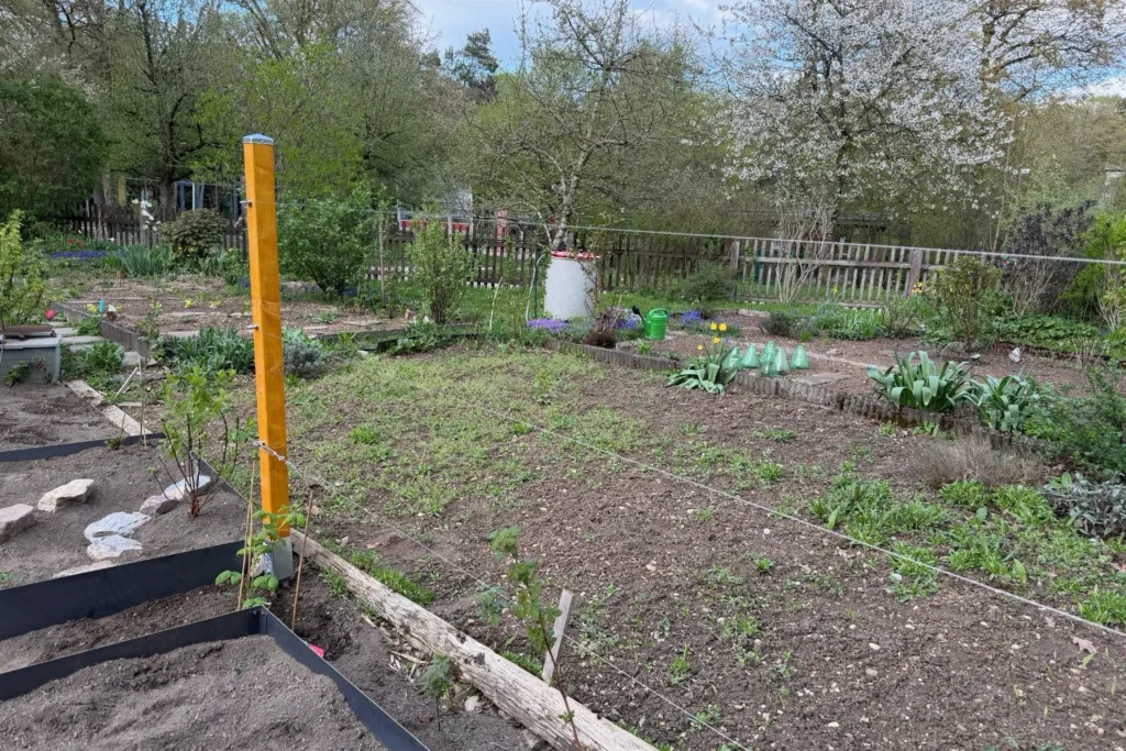 Freistehende stabile Rankhilfe aus Holz mit straff gespannten Edelstahlseilen im Garten