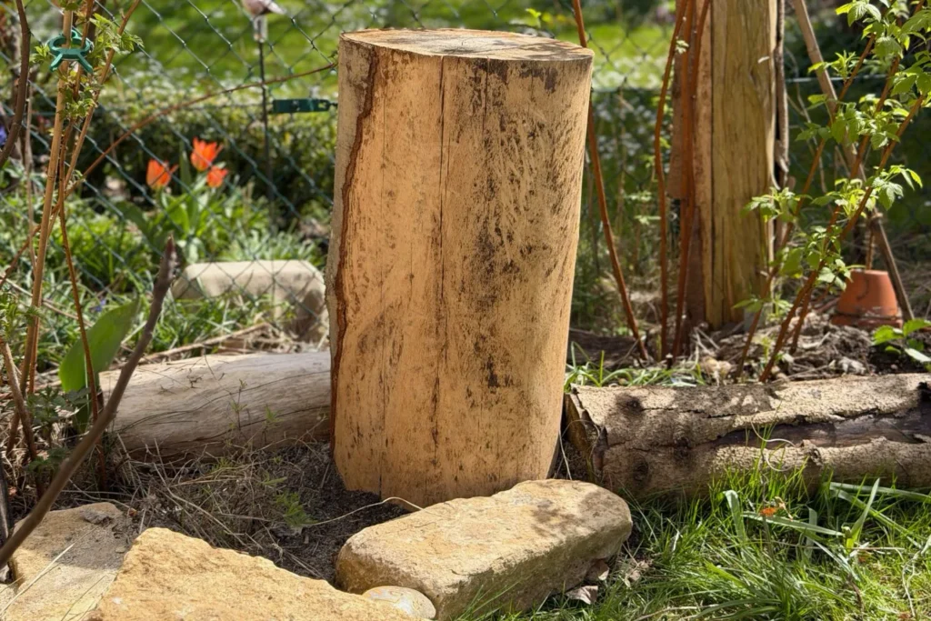 Kombination aus Totholz und Natursteinen als strukturreicher Lebensraum im naturnahen Garten