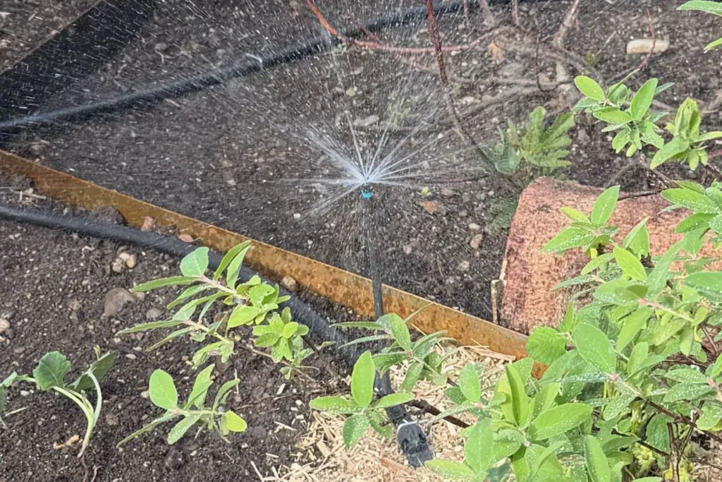 360-Grad-Sprüher zur punktuellen Bewässerung im Gartenbeet