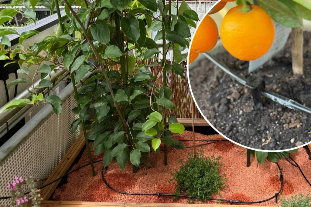 Balkonbewässerung mit Gardena Micro-Drip-System und 4,6-mm-Tropfschlauch