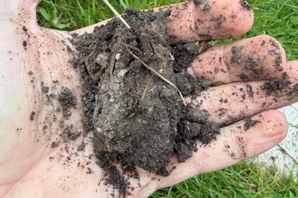 Hand mit feuchter Gartenerde beim Bodentest zur Bestimmung der Bodenbeschaffenheit