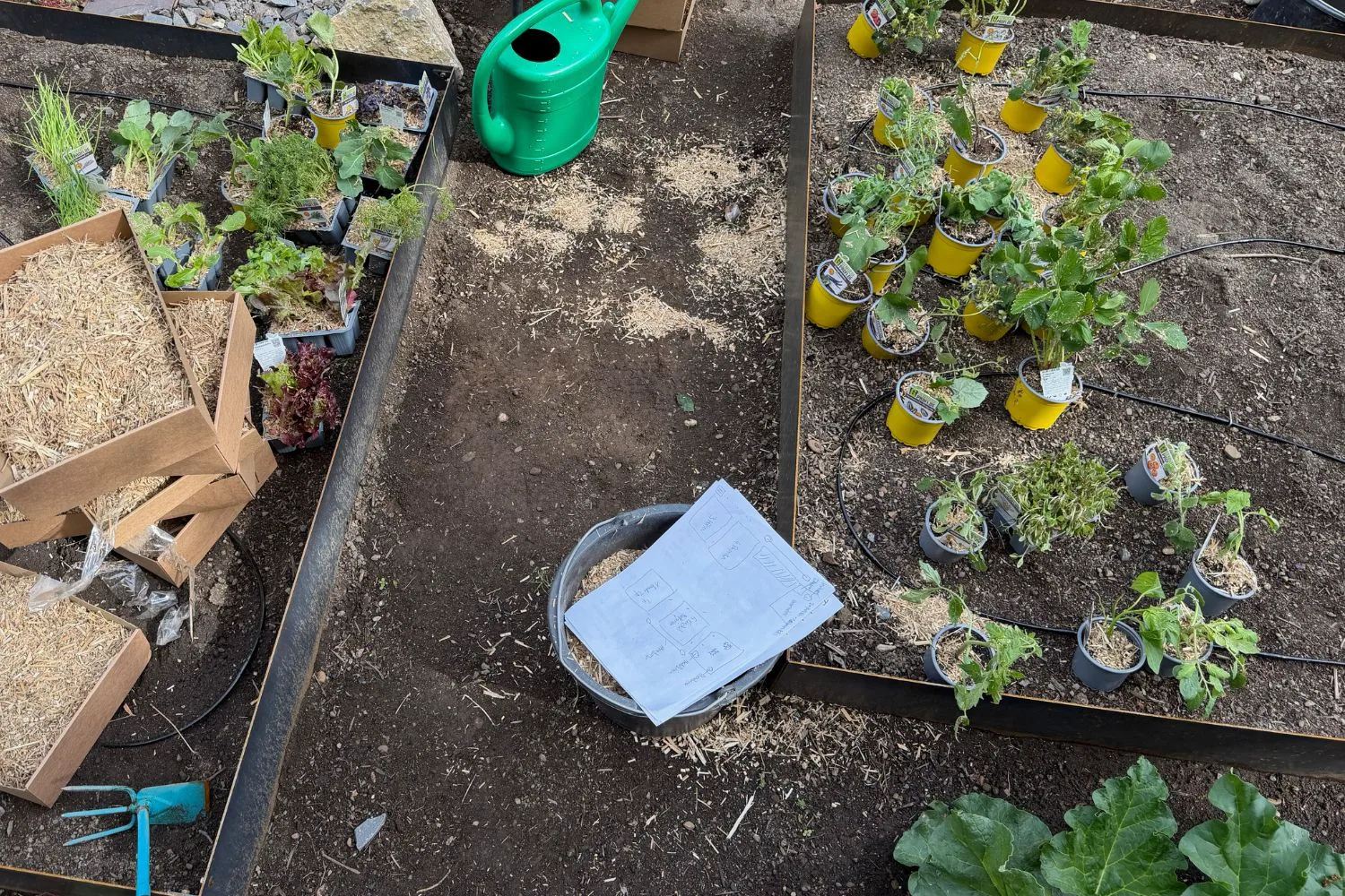 Schrebergarten bepflanzen: Beispiel-Pflanzplan für 6 Beete mit Mischkultur