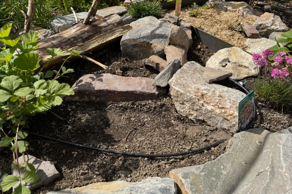 Verlegter Schlauch zwischen Natursteinen und trockenheitsverträglichen Pflanzen im Garten