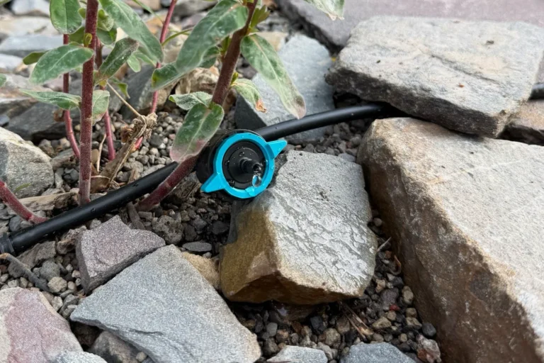 Gardena Micro-Drip-System installieren: So bewässern wir unsere Gemüsebeete automatisch Regulierbarer Tropfer mit geringer Wassermenge zwischen Steinen im Garten