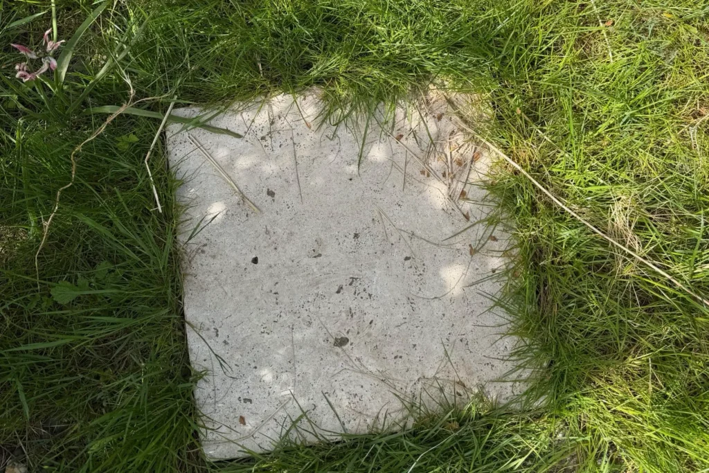 Trittstein im Rasen als Lösung für stark begangene Flächen im Garten