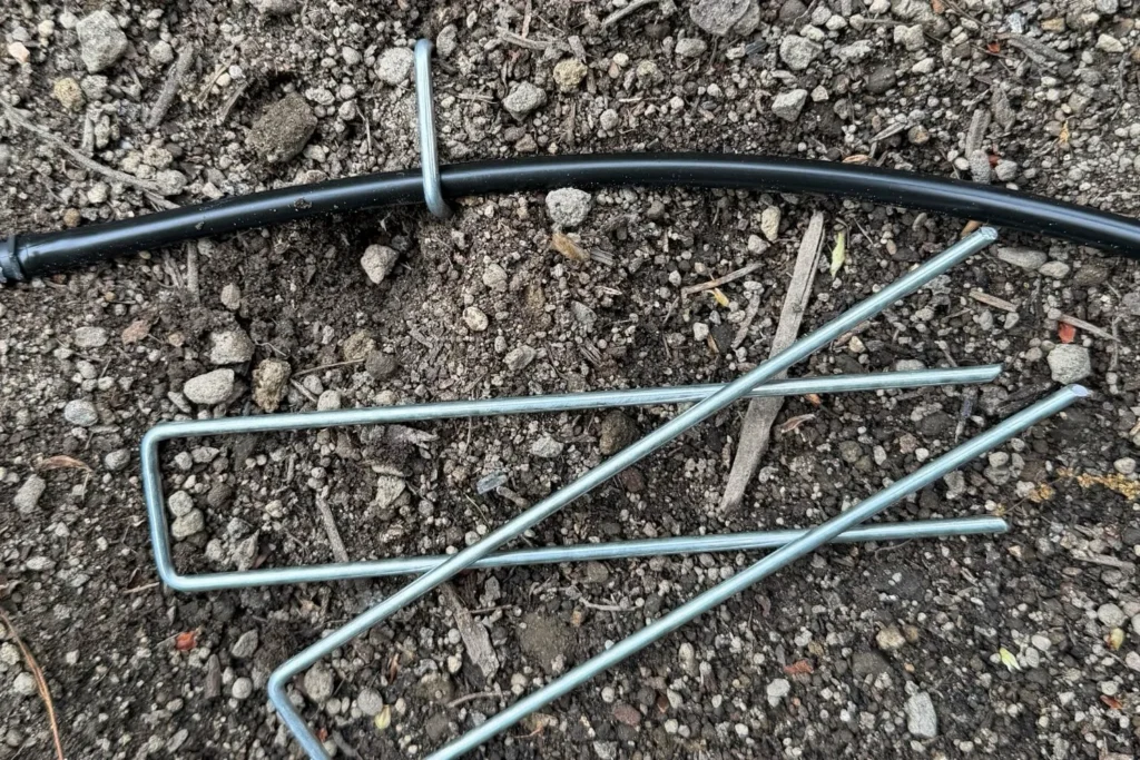 Tropfschlauch im Beet mit Metall-Erdankern befestigt