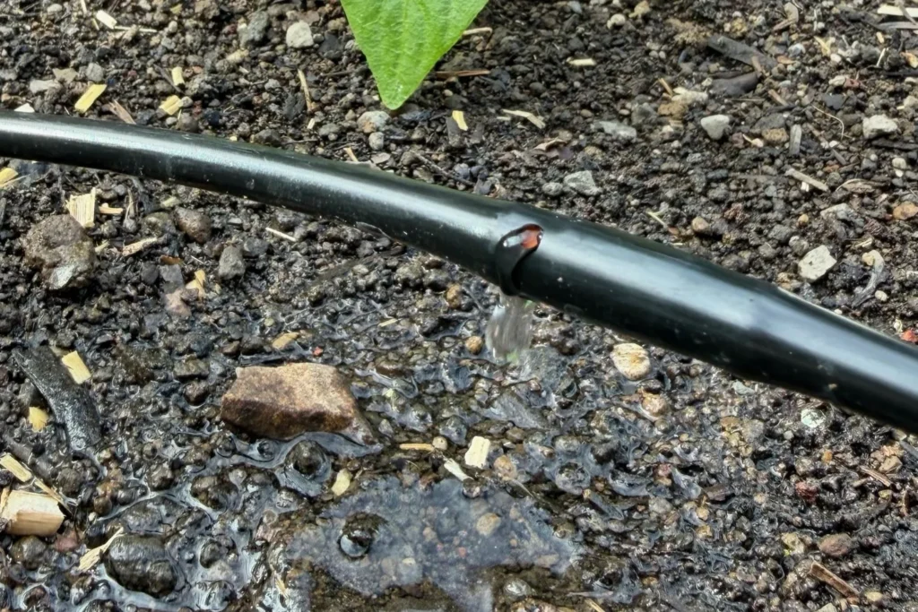 4,6-mm-Tropfschlauch mit gleichmäßigem Wasseraustritt im Gemüsebeet