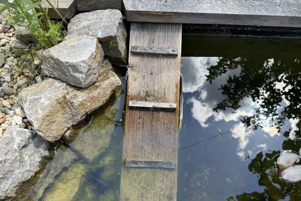 Alte improvisierte Ausstiegshilfe ohne feste Befestigung im Teich
