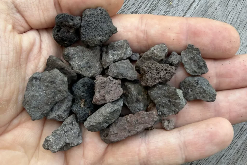 Lavamulch aus vulkanischem Gestein in der Hand