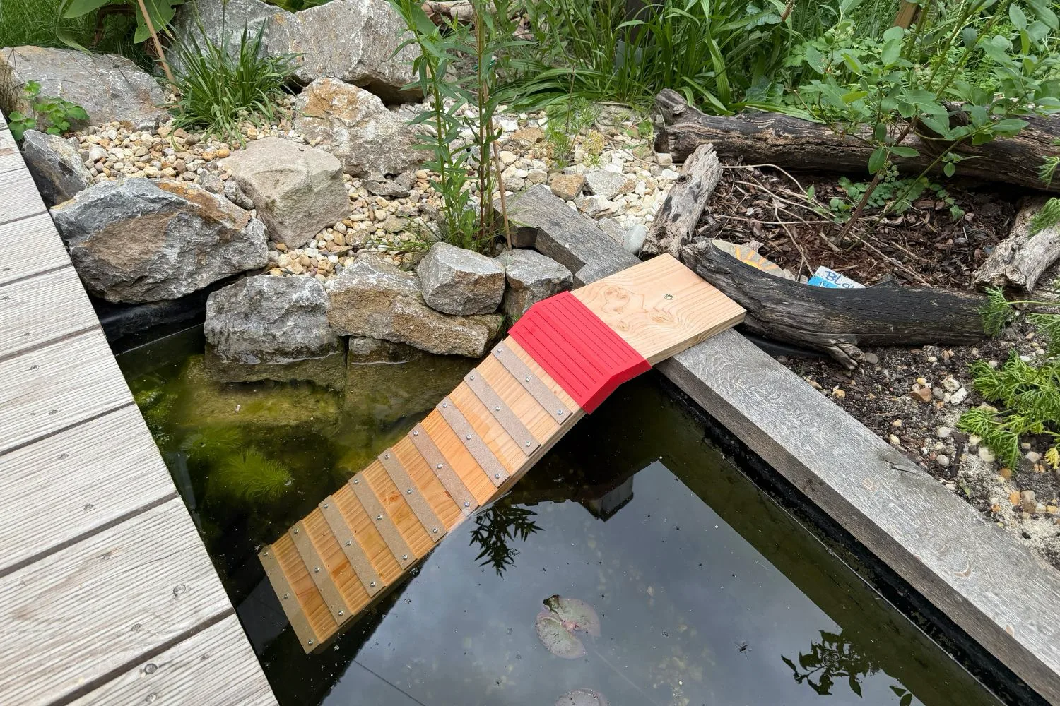 Igel-Ausstiegshilfe für Pool und Teich selber bauen