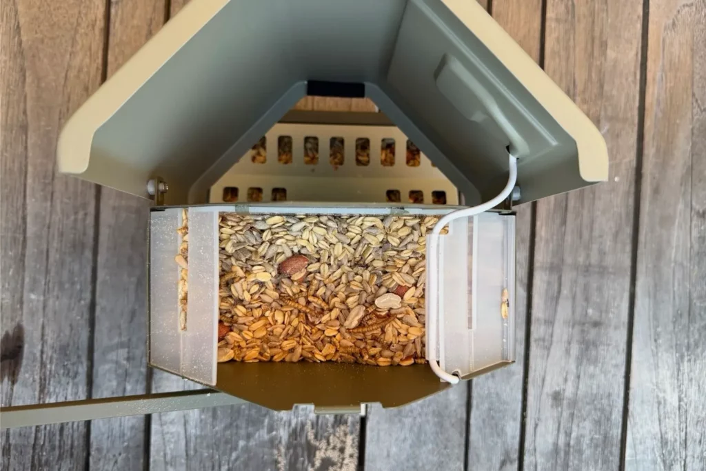 Blick von oben in das Futtersilo des Birdfy Feeder Metal 2 4K.