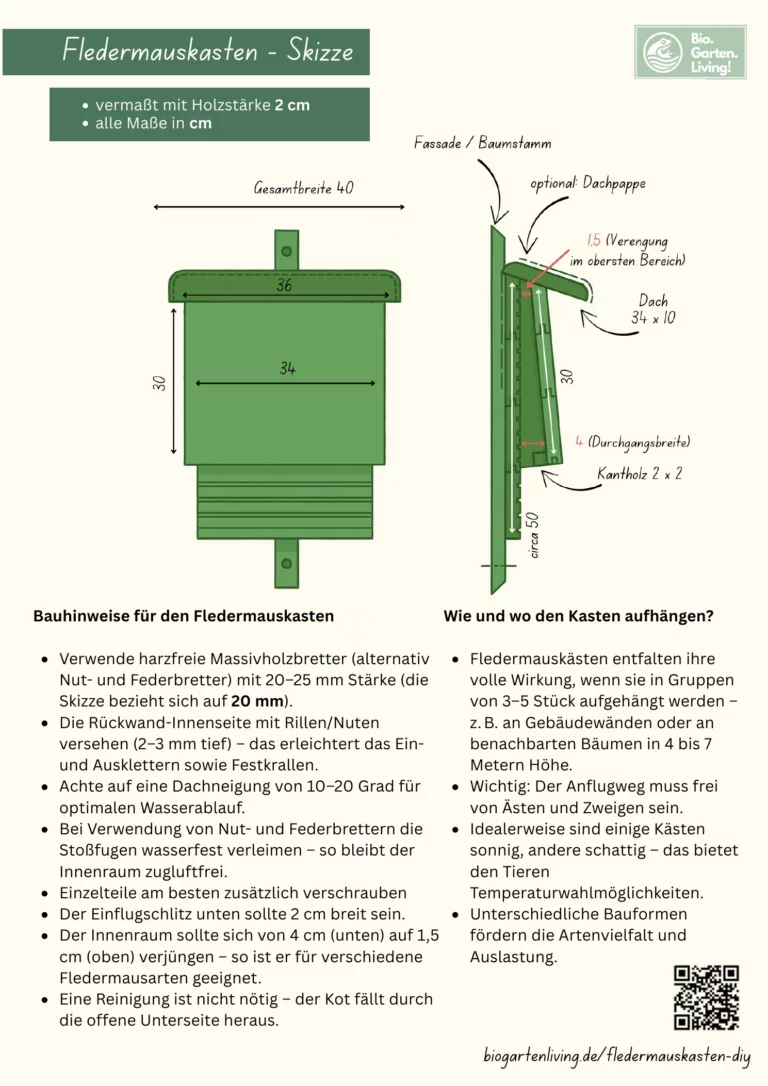 Bemaßte Skizze für einen Fledermauskasten mit Vorder- und Seitenansicht