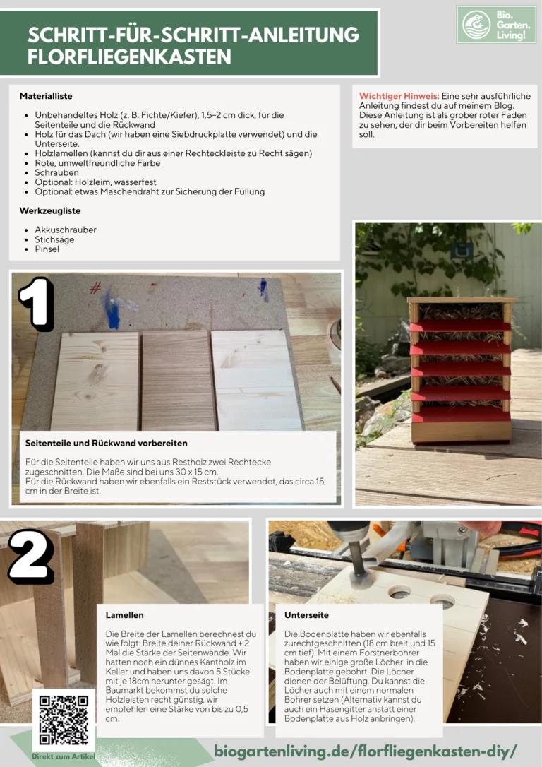 Schritt-für-Schritt-Bauanleitung für einen Florfliegenkasten aus Holz