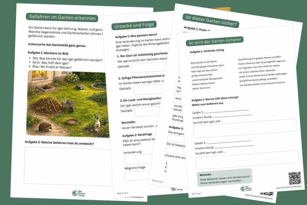 Vorschau des Arbeitsblatts zum Erkennen und Vermeiden von Gefahren für Igel im Garten