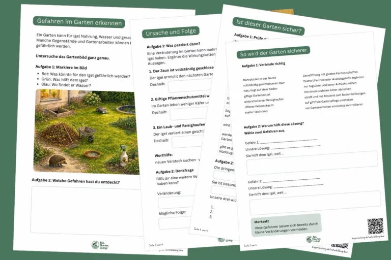 Vorschau des Arbeitsblatts zum Erkennen und Vermeiden von Gefahren für Igel im Garten