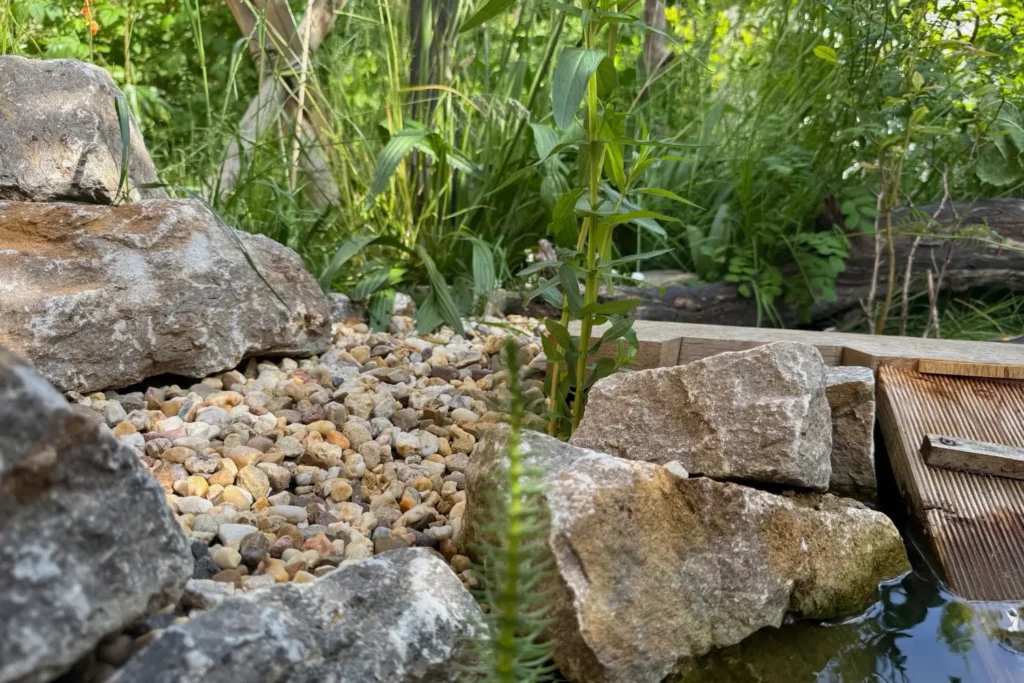 Strukturreicher Uferbereich eines Gartenteichs mit Steinen, Kies, Wasserpflanzen und Totholz