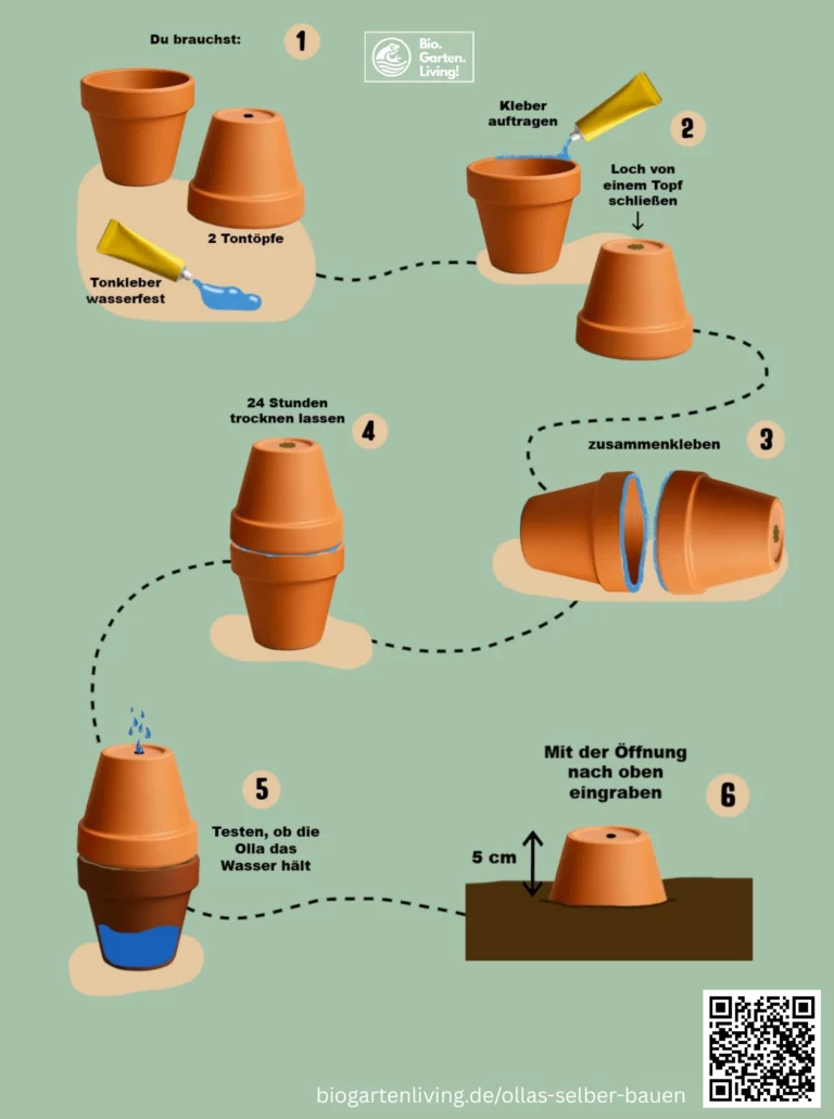 Anleitung zum Bau einer Olla aus zwei Tontöpfen in sechs Schritten