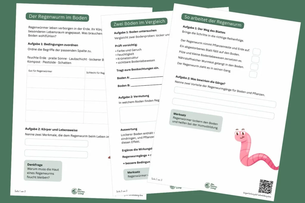 Arbeitsblätter über Regenwürmer im Boden, Humusbildung und Bodenqualität