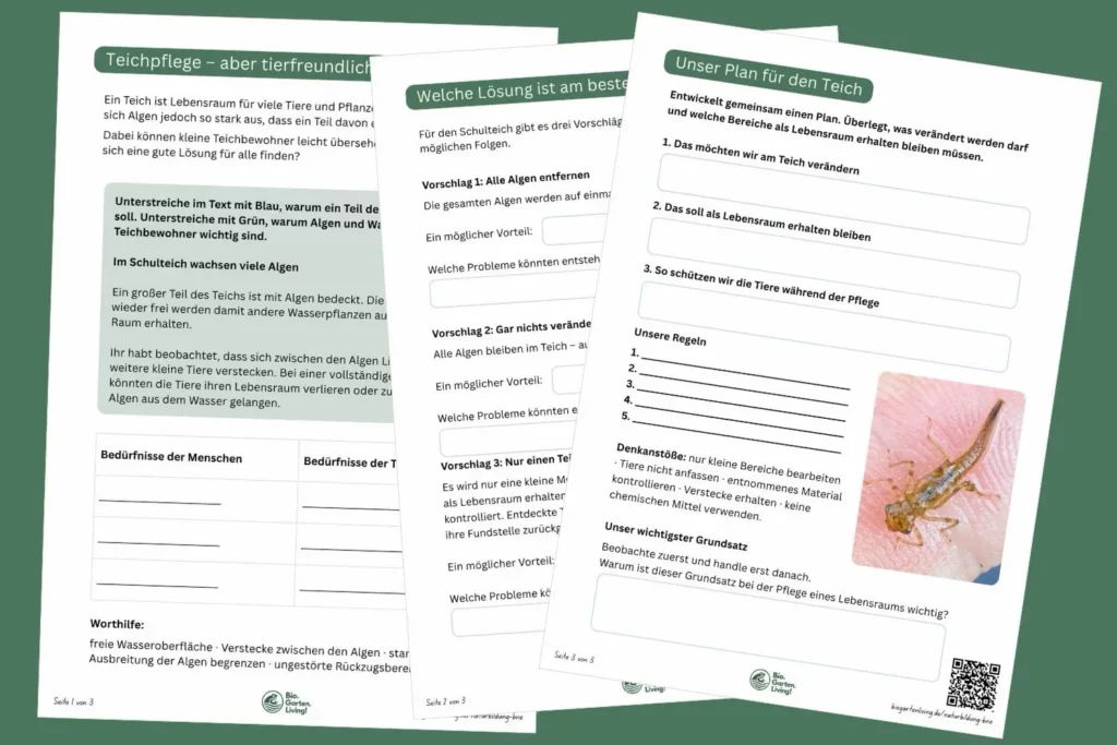 Dreiseitiges Arbeitsblatt zur tierfreundlichen Teichpflege und zum Schutz von Libellenlarven