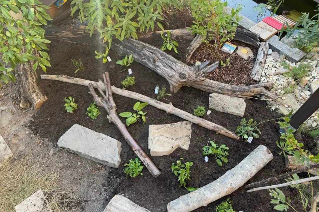 Fertig bepflanztes heimisches Staudenbeet mit Natursteinen und Totholz.