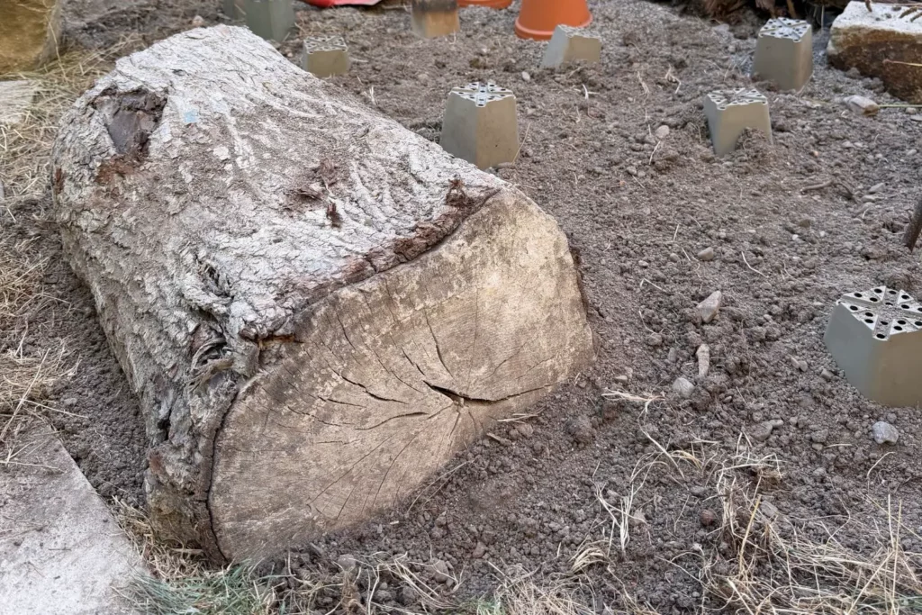 Großer Totholzstamm als Strukturelement in einem heimischen Staudenbeet.