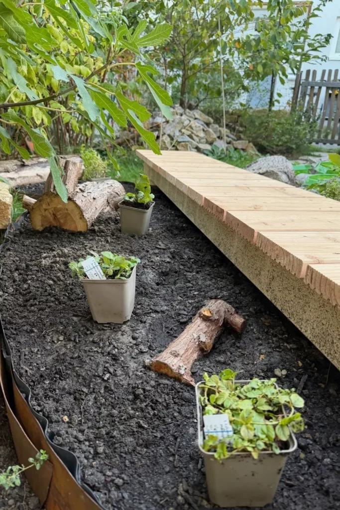 Heimische Sumpfpflanzen in Töpfen werden vor dem Einpflanzen neben dem Holzsteg positioniert.