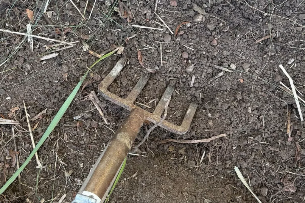 Gartenboden wird vor der Herbstpflanzung mit einer Grabgabel gelockert