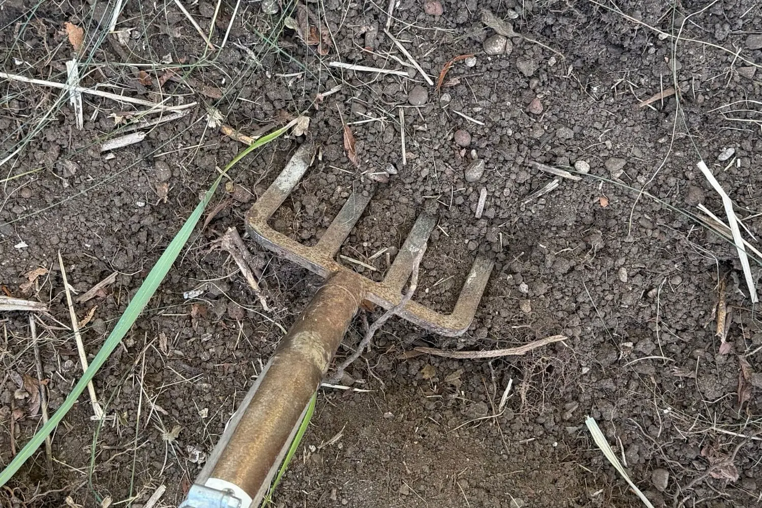 Gartenboden wird vor der Herbstpflanzung mit einer Grabgabel gelockert